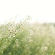 菅野　花江 ありがとうございます 東京ローズマリー