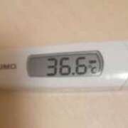 ヒメ日記 2024/12/23 09:00 投稿 冬美 人妻・若妻デリヘル レディプレイス