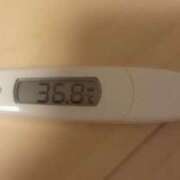 ヒメ日記 2025/03/27 09:00 投稿 冬美 人妻・若妻デリヘル レディプレイス