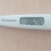 ヒメ日記 2025/04/13 09:00 投稿 冬美 人妻・若妻デリヘル レディプレイス