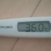 ヒメ日記 2025/04/24 09:00 投稿 冬美 人妻・若妻デリヘル レディプレイス