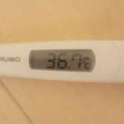 ヒメ日記 2025/06/08 09:00 投稿 冬美 人妻・若妻デリヘル レディプレイス