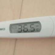 ヒメ日記 2025/11/19 10:30 投稿 冬美 人妻・若妻デリヘル レディプレイス