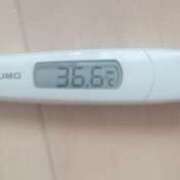 ヒメ日記 2026/03/15 09:30 投稿 冬美 人妻・若妻デリヘル レディプレイス