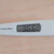 ヒメ日記 2026/04/11 09:30 投稿 冬美 人妻・若妻デリヘル レディプレイス