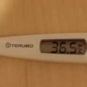 冬美 今日の体温 人妻・若妻デリヘル レディプレイス