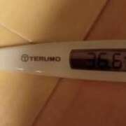 ヒメ日記 2026/04/23 10:30 投稿 冬美 人妻・若妻デリヘル レディプレイス