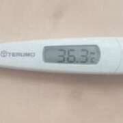 冬美 今日の体温 人妻・若妻デリヘル レディプレイス