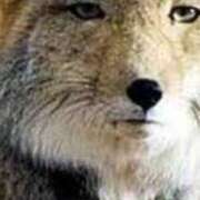 ヒメ日記 2025/04/25 21:08 投稿 いずみ 人妻倶楽部 内緒の関係 大宮店