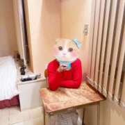 ヒメ日記 2025/08/18 14:34 投稿 いずみ 人妻倶楽部 内緒の関係 大宮店