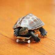 ヒメ日記 2025/09/30 20:05 投稿 いずみ 人妻倶楽部 内緒の関係 大宮店