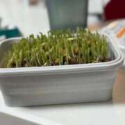 ヒメ日記 2025/11/11 20:17 投稿 いずみ 人妻倶楽部 内緒の関係 大宮店