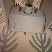 ヒメ日記 2026/03/11 20:54 投稿 いずみ 人妻倶楽部 内緒の関係 大宮店