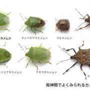 ヒメ日記 2026/06/07 10:08 投稿 いずみ 人妻倶楽部 内緒の関係 大宮店