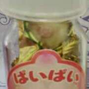 ヒメ日記 2025/02/19 14:55 投稿 るみ 大阪ぽっちゃりマニア 谷九店