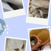 ヒメ日記 2024/12/30 08:55 投稿 せいら セレブコレクション赤坂