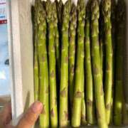 ヒメ日記 2025/05/26 00:57 投稿 有賀　百合子 東京ローズマリー