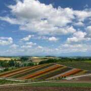 有賀　百合子 備忘録…www 東京ローズマリー