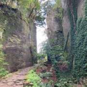 ヒメ日記 2026/01/02 11:37 投稿 有賀　百合子 東京ローズマリー