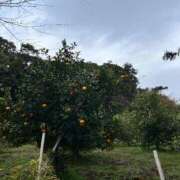 ヒメ日記 2026/02/19 10:37 投稿 有賀　百合子 東京ローズマリー