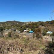 ヒメ日記 2026/03/23 07:57 投稿 有賀　百合子 東京ローズマリー