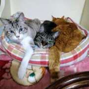 ヒメ日記 2025/01/12 11:16 投稿 ちなみ MINT(日本橋)