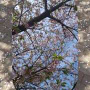 ヒメ日記 2026/04/16 13:34 投稿 ちなみ MINT(日本橋)