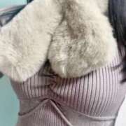 ヒメ日記 2024/12/25 22:27 投稿 野々村　りえ 東京ローズマリー