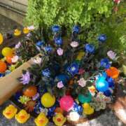 ヒメ日記 2025/09/05 21:57 投稿 野々村　りえ 東京ローズマリー