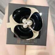 ヒメ日記 2025/09/06 23:07 投稿 野々村　りえ 東京ローズマリー