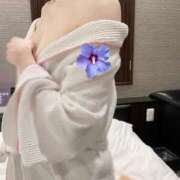 ヒメ日記 2025/09/10 07:47 投稿 野々村　りえ 東京ローズマリー