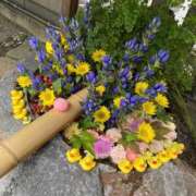 ヒメ日記 2025/10/05 23:07 投稿 野々村　りえ 東京ローズマリー