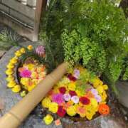 ヒメ日記 2025/11/02 19:37 投稿 野々村　りえ 東京ローズマリー