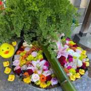 ヒメ日記 2025/12/04 21:07 投稿 野々村　りえ 東京ローズマリー