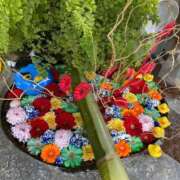 ヒメ日記 2026/02/02 23:17 投稿 野々村　りえ 東京ローズマリー