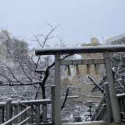 野々村　りえ 雪 東京ローズマリー