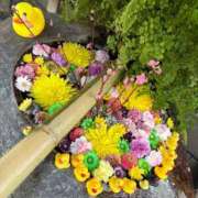 ヒメ日記 2026/03/06 19:37 投稿 野々村　りえ 東京ローズマリー