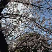 野々村　りえ 帰りに 東京ローズマリー