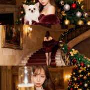 ひふみ 久しぶりーもう来ないからねー(たまごっち) かりんと秋葉原