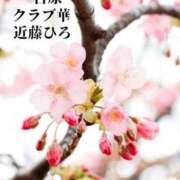 ヒメ日記 2024/03/21 11:17 投稿 近藤ひろ クラブ華