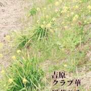 ヒメ日記 2024/03/25 06:29 投稿 近藤ひろ クラブ華