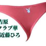 ヒメ日記 2024/04/26 01:56 投稿 近藤ひろ クラブ華