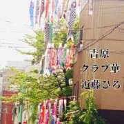 ヒメ日記 2024/04/29 05:55 投稿 近藤ひろ クラブ華