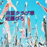 ヒメ日記 2024/04/29 06:26 投稿 近藤ひろ クラブ華