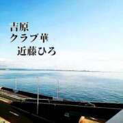 ヒメ日記 2024/07/11 04:55 投稿 近藤ひろ クラブ華