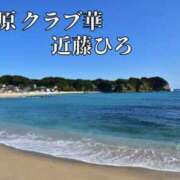 ヒメ日記 2024/07/30 14:24 投稿 近藤ひろ クラブ華