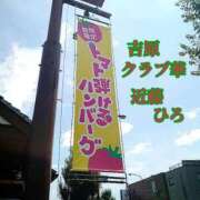 ヒメ日記 2024/08/30 11:19 投稿 近藤ひろ クラブ華