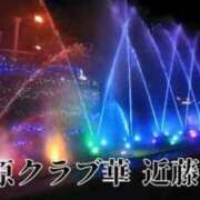 ヒメ日記 2024/09/02 23:08 投稿 近藤ひろ クラブ華