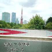 ヒメ日記 2024/09/11 09:05 投稿 近藤ひろ クラブ華