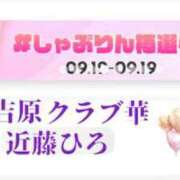 ヒメ日記 2024/09/13 12:51 投稿 近藤ひろ クラブ華